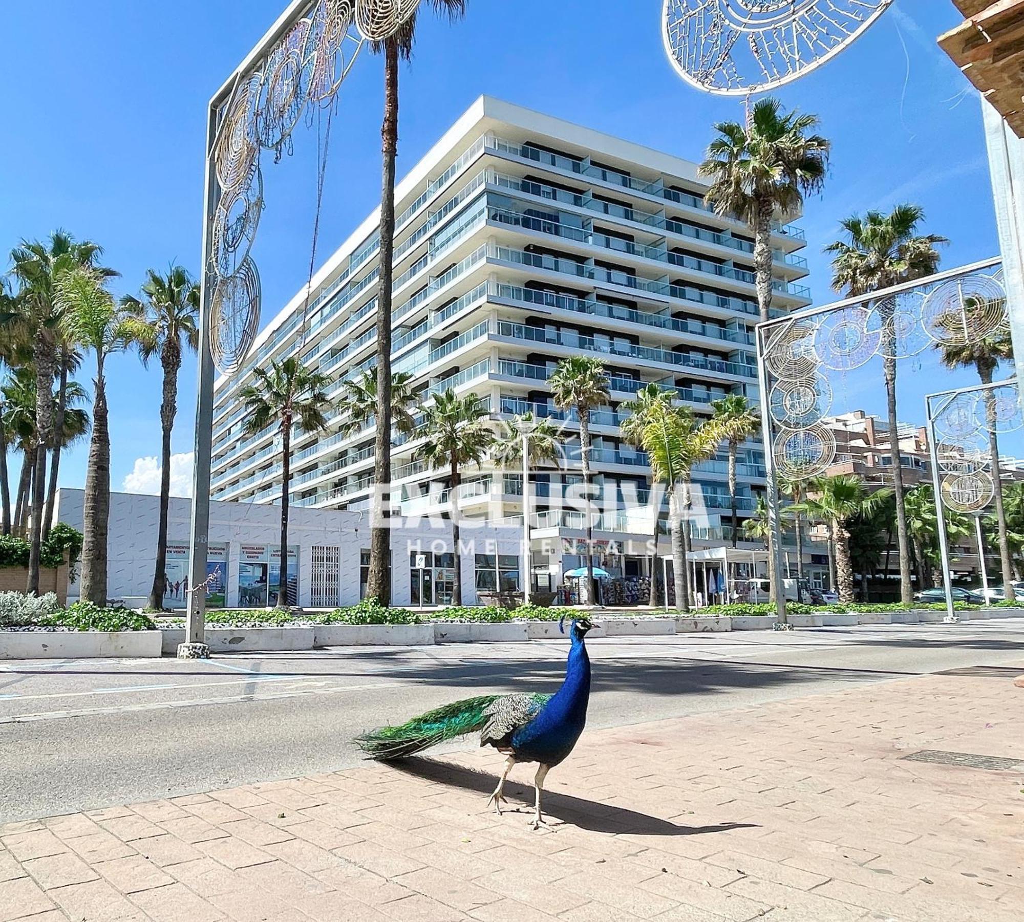 Apartamento Albamarina, 1ªlinea, Magic World, Vistas Al Mar! Оропеса-дель-Мар Екстер'єр фото